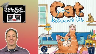 TheGameBoyGeek - Hi Quality Hi Energy Board Game Reviews - Cat Between Us video thumbnail