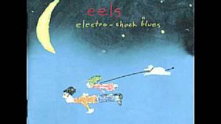 The Eels - P.S. You Rock My World
