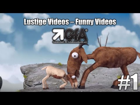 Ein kleiner Anstoß - Lustige Videos - Motivationsvideos | GFA