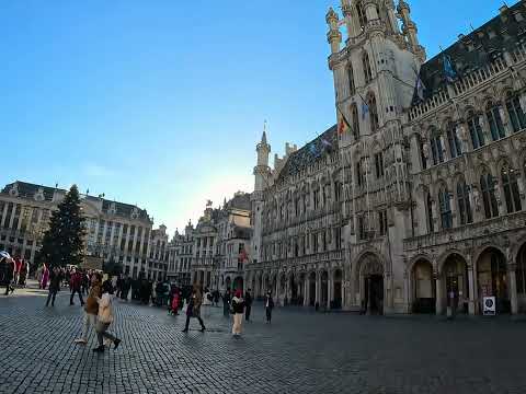 the Grote Markt in the center of Bruxelles, Belgium 🇧🇪
