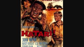 Hatari! - Musik: Henry Mancini