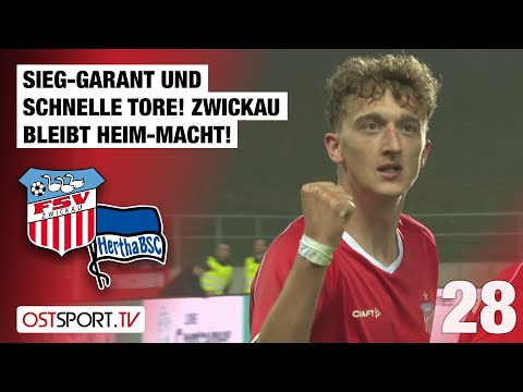 Sieg-GARANT und schnelle Tore! Zwickau bleibt Heim-Macht! Zwickau - Hertha II | Regionalliga Nordost