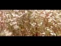 House Of Flying Daggers Scene Jin Picking Flowers For Xiao Mei