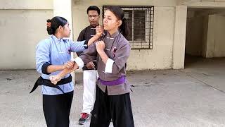 preview picture of video 'Wing chun association india(3)'
