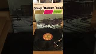 Rocket 88 - James Cotton Quartet