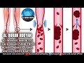 AL QURAN RUQYAH TO REMOVE INHERITED BLACK MAGIC SIHIR FROM BLOOD NERVES VEINS AND ALL BODY PARTS