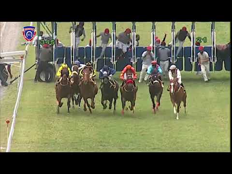 RM34 R5 | Roman Dancer | R.Joorawon