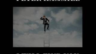 Peter Hammill  - I Will Find You (lyrics)