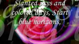 Pussywillow Cattails