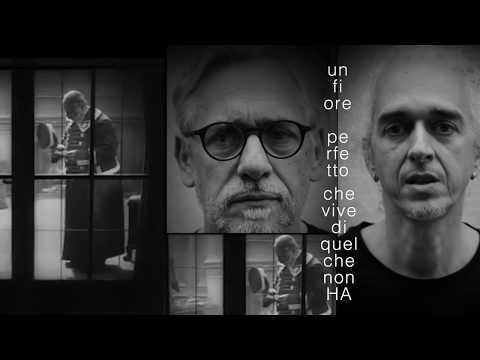 video frame placeholder