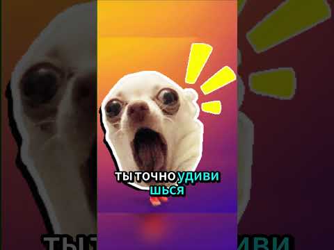 Кто самый высокий игрок НБА? Не Шак и не Яо Мин!