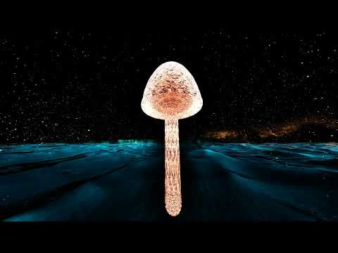 Cosmic Mandala Mushroom II