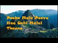 PACHAMALA POOVU English Lyrics Tamil Lyrics SPB Ilayaraja Kizhakku Vaasal Karthik Muthuraman