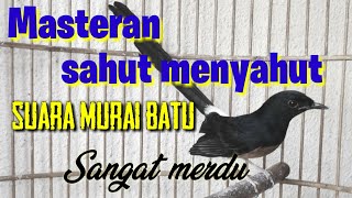 Download lagu Suara murai batu merdu.untuk masteran ampuh. mp3 Download lagu Suara murai batu merdu.untuk masteran ampuh. mp3