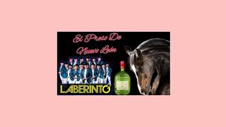 el preso  de nuevo leon ✴️ grupo Laberinto 💥💥 lo mejor puros Corridos 💥✴️