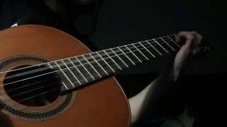 Loreena McKennitt "La Serenissima" Acoustic Cover