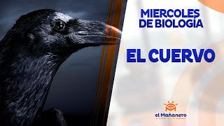 Miercoles de Biología – El Cuervo
