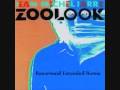 Zoolook (Razormaid Extended Remix) - Jean Michel ...