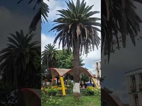 entre rios tarija bolivia