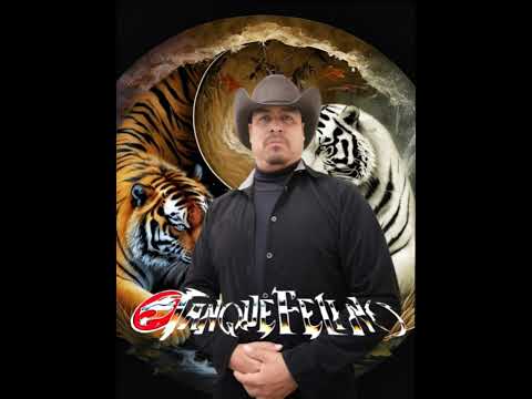 con sus manos sucias _ Tanque Felino