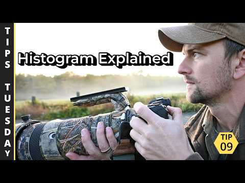 Understanding the Histogram for Wildlife Photography | Tips Tuesday 09