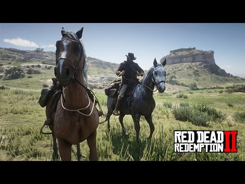 BISÕES, CAVALO QUE MATOU O DONO e muito mais - Red Dead Redemption 2