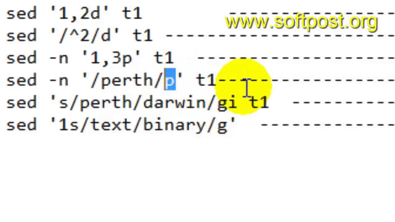 sed command examples in BASH shell terminal