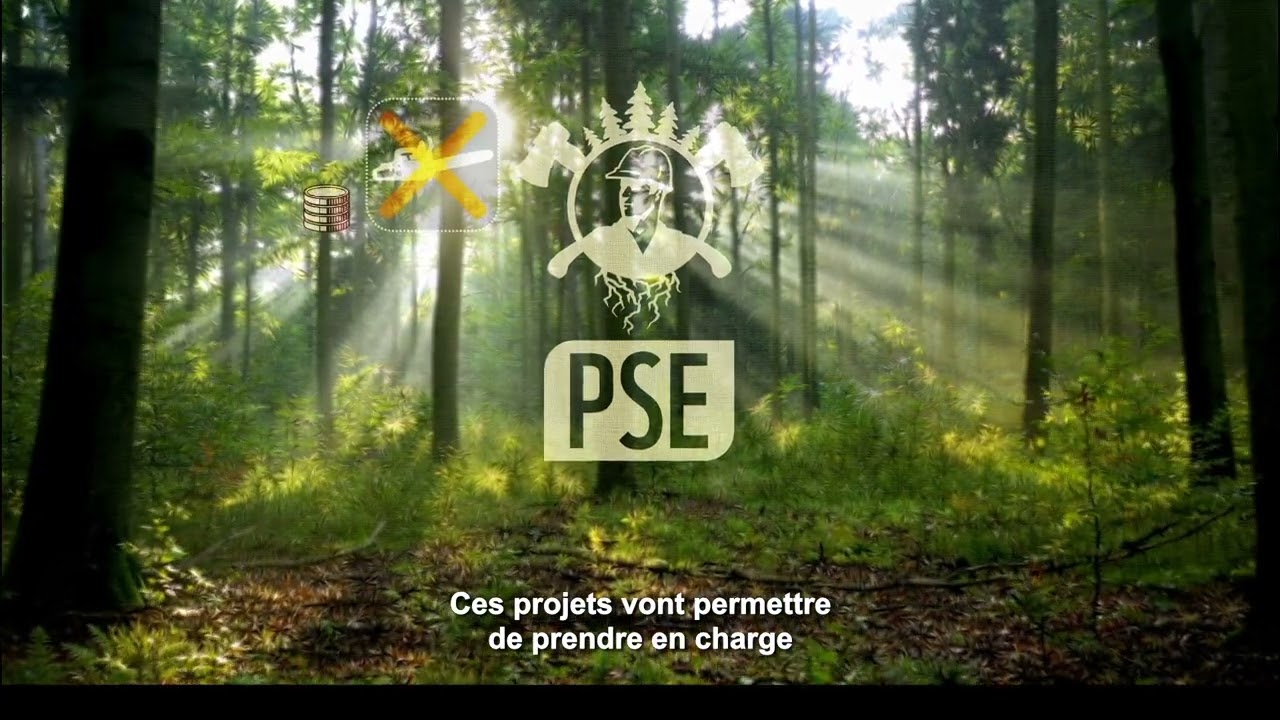 Nature Impact : une nouvelle manière de financer la protection de nos forêts