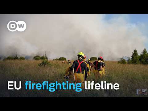 European aircraft join battle as Belgium's record wildfire spreads | DW News