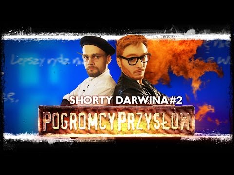 "Pogromcy Przysłów" [Shorty Darwina #2]