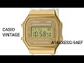 Casio A168XESG-9A