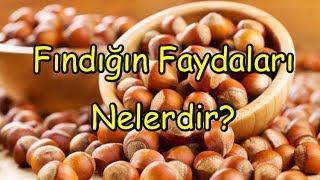 Fındığın Faydaları Nelerdir