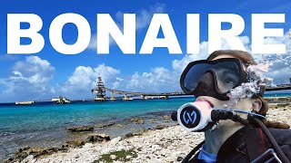 The best warm water shore diving destination - Bonaire