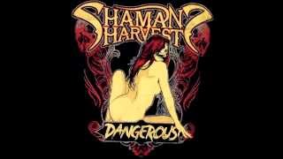 Shaman&#39;s Harvest   Dangerous live @ The Blue Note