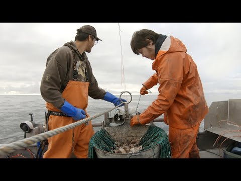 Setting Out the Hooks - Halibut Longline
