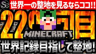 【🔴Minecraft】目指せ世界記録！整地ノルマ達成するまで今夜も眠れない‼️～229回目～