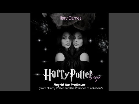 Hagrid the Professor (From "Harry Potter and the Prisoner of Azkaban")