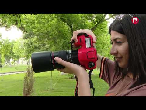 Gəncmən - 10.06.2024