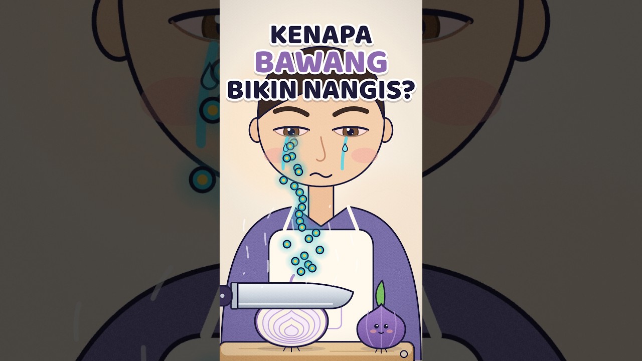 Kenapa bawang bikin kita nangis? #tahukahkamu