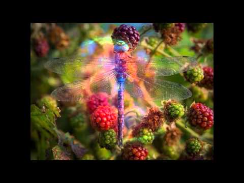 Intrusion - RA.153 Mix 5/03/09