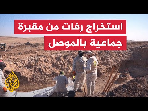 فيديو | السلطات العراقية تبدأ استخراج رفات من مقبرة جماعية قرب الموصل
