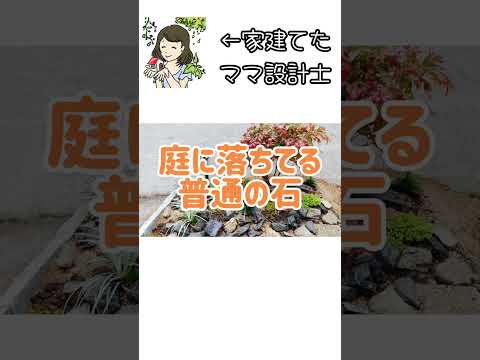 aménagement-jardin-de-rocaille-grand-pierre-deco-galet-mousse