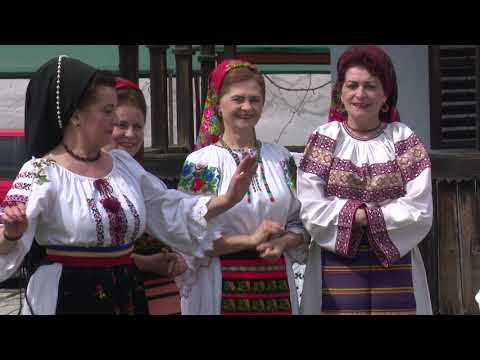 Anuta Motofelea - Saracile fetele