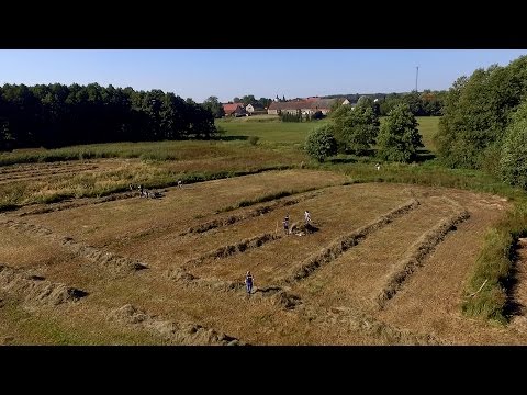 Engagement mit Firmen: Chemiepark Bitterfeld-Wolfen