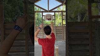 Basketball on a Private Island? — Full Transcript & Summary