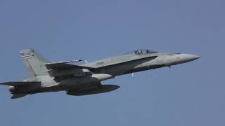 Hornet Christmas 2018