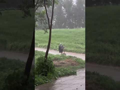 都等一上午了，雨终于下下来了，他说下雨爬坡凉快😂萌娃农村生活日常分享人类幼崽到底多可爱