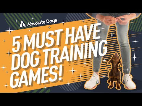 Our ALL-TIME Top 5 Dog Training Games ALL Dog Owners Need Today!