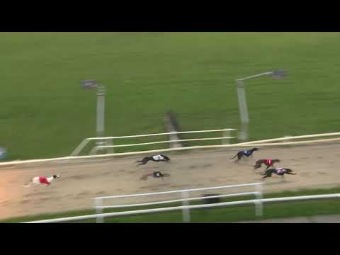 2021 REGENCY - HEAT 5 - T2 BO SHINE BULLET