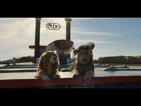 La Belle et le Clochard - Bande-annonce | Disney+